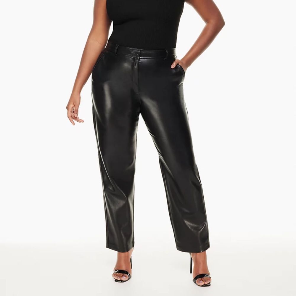 Aritzia Babaton Command Pant